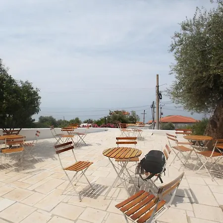 White מלון בורש