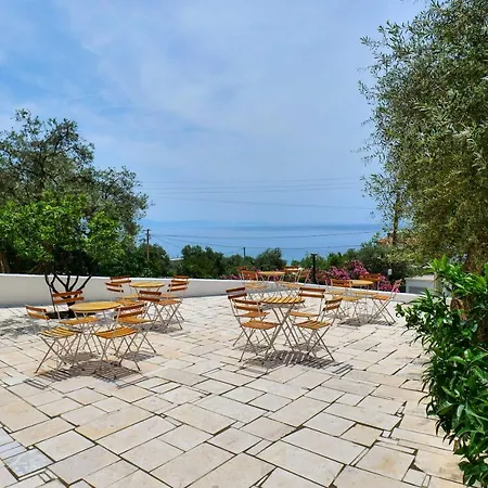 מלון White בורש